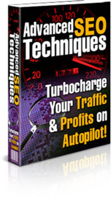 Product picture Advanced SEO Techniques with PLR