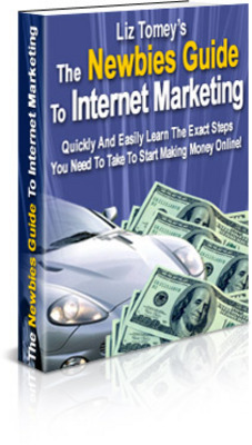 Product picture The Newbies Guide To Internet Marketing -PLR