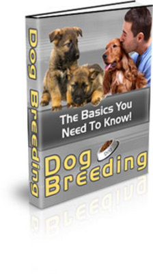Product picture Dog Breeding (PLR)
