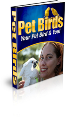 Product picture Pet Birds: Your Pet Bird and You! (PLR)