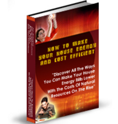 Product picture How To Make Your House Energy And Cost Efficient  (PLR)