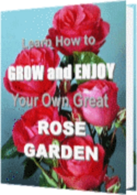 Product picture 101 Tips For Growing And Enjoying Your Own Great Rose Garden