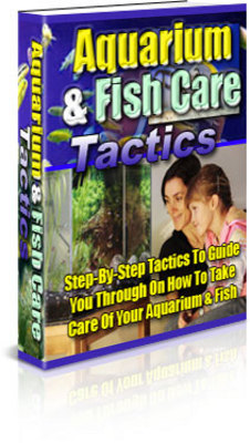 Product picture Aquarium Fish Care Tactics (PLR)